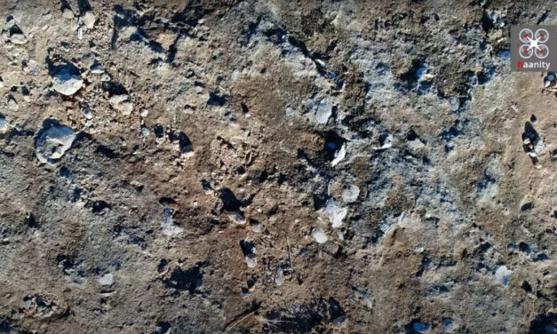 Σπάνια ανακάλυψη: Χωματόδρομος χωρίς όνομα με χιλιάδες απολιθωμένα κοχύλια εκατ. ετών (vid)