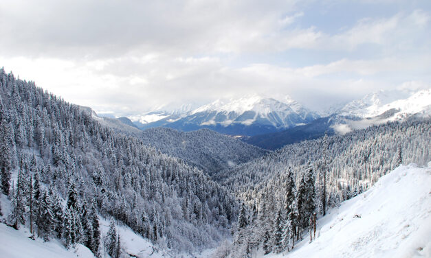 Borjomi: Ο απόλυτος επίγειος χειμερινός παράδεισος