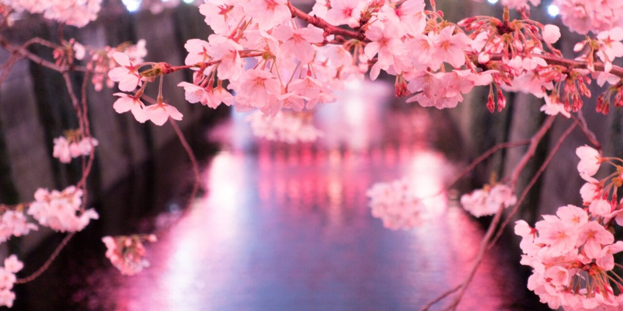 Τόκυο: Το διαμάντι της Ασίας με την πανέμορφη φύση