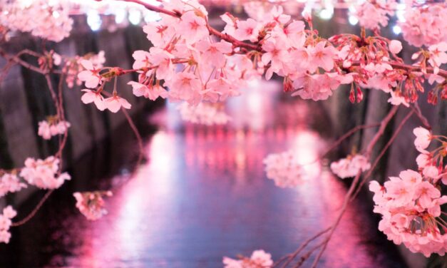 Τόκυο: Το διαμάντι της Ασίας με την πανέμορφη φύση