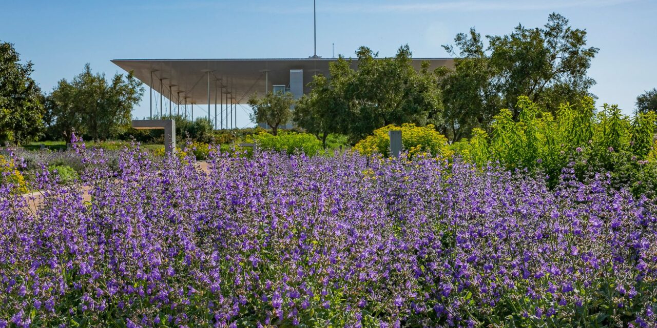 Άνοιξη στο ΚΠΙΣΝ: Αναλυτικά το πρόγραμμα των εκδηλώσεων