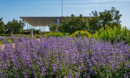 Άνοιξη στο ΚΠΙΣΝ: Αναλυτικά το πρόγραμμα των εκδηλώσεων