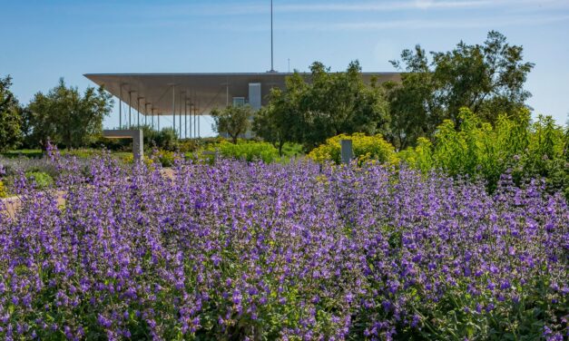 Άνοιξη στο ΚΠΙΣΝ: Αναλυτικά το πρόγραμμα των εκδηλώσεων