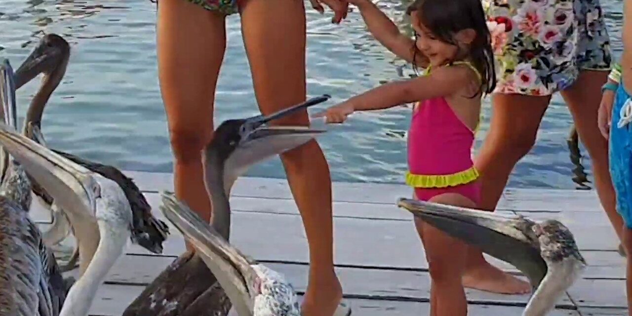 Η ιστορία μιας ελληνικής οικογένειας που ταξιδεύει σε όλο τον κόσμο