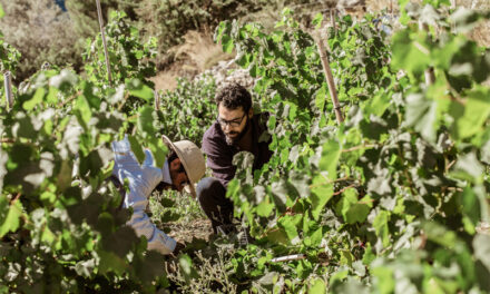 Τα μυστικά της διατροφής στην Ικαρία που χαρίζουν μακροζωία