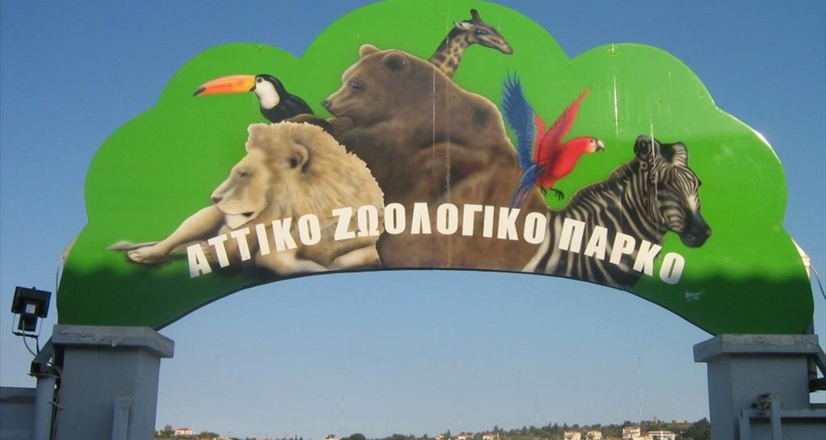 Επαναλειτουργεί το Αττικό Ζωολογικό Πάρκο