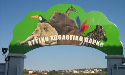 Επαναλειτουργεί το Αττικό Ζωολογικό Πάρκο