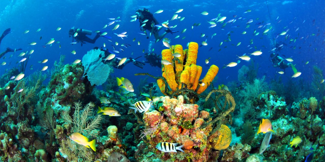 Τα 5 καλύτερα νησιά για να κάνετε κατάδυση στην Ελλάδα