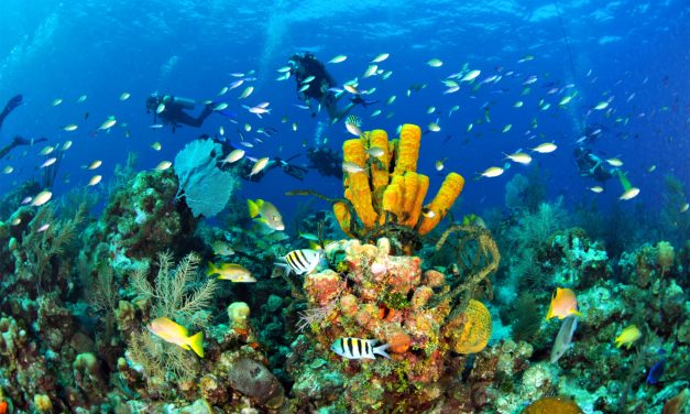 Τα 5 καλύτερα νησιά για να κάνετε κατάδυση στην Ελλάδα