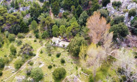 Το μοναχικό εκκλησάκι του Αγίου Γεωργίου στην καρδιά της Πάρνηθας (video)