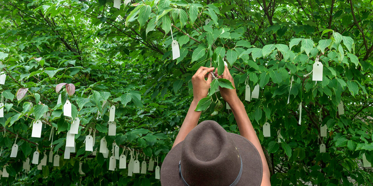 Το «Wish Tree» της Yoko Ono φέτος “ανθίζει”… διαδικτυακά