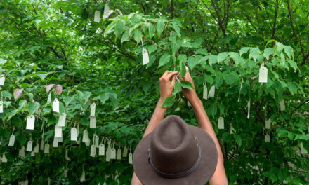 Το «Wish Tree» της Yoko Ono φέτος “ανθίζει”… διαδικτυακά