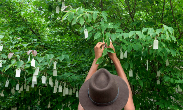 Το «Wish Tree» της Yoko Ono φέτος “ανθίζει”… διαδικτυακά