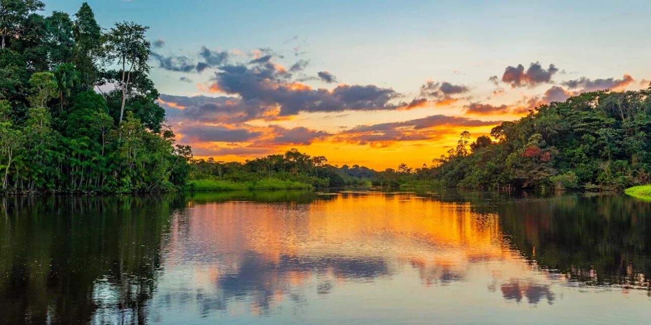Φυσικοί ήχοι από τις 7 Ηπείρους έγιναν… άλμπουμ  – Από αλιγάτορες μέχρι καταιγίδες