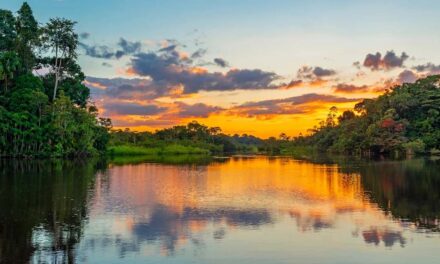 Φυσικοί ήχοι από τις 7 Ηπείρους έγιναν… άλμπουμ  – Από αλιγάτορες μέχρι καταιγίδες