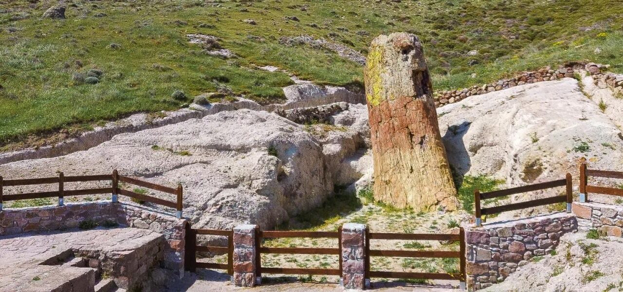 Λέσβος: Πλάνο για προβολή του απολιθωμένου δάσους ως εναλλακτικό τουριστικό αξιοθέατο