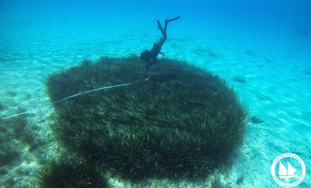 Λειψοί: Οικολογική πρωτοβουλία για την προστασία των θαλασσών