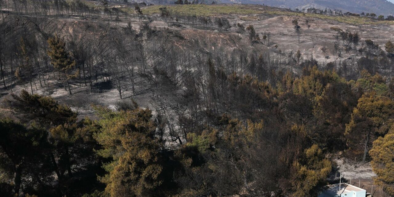 Γεράνεια Όρη: Η μεγαλύτερη πυρκαγιά της τελευταίας δεκαετίας – Τι έδειξε έρευνα (video)