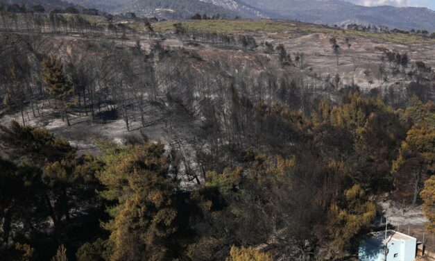 Γεράνεια Όρη: Η μεγαλύτερη πυρκαγιά της τελευταίας δεκαετίας – Τι έδειξε έρευνα (video)