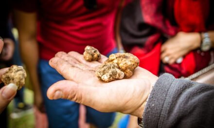 Ώρα για εξορμήσεις… ώρα για κυνήγι τρούφας στα Μετέωρα (video)