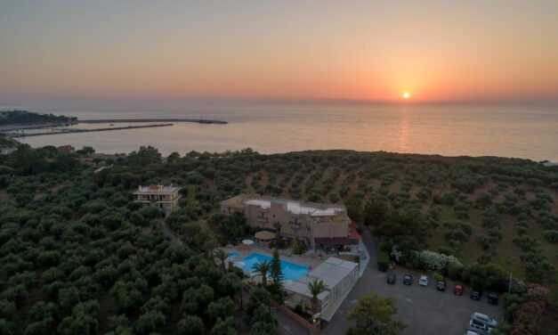 Apollo Art Hotel: Φιλοξενία υψηλού επιπέδου στην καρδιά ενός ελαιώνα