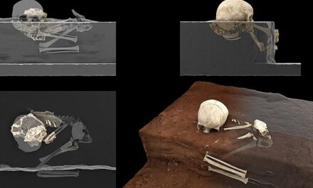 Κένυα: Ήρθε στο φως τάφος νηπίου 78.000 ετών – Τι είπαν οι ειδικοί