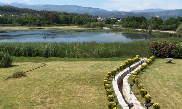 Λίμνη Αγιάς: Ένα Καταφύγιο πουλιών, με σπάνια είδη φτέρης και βατράχων