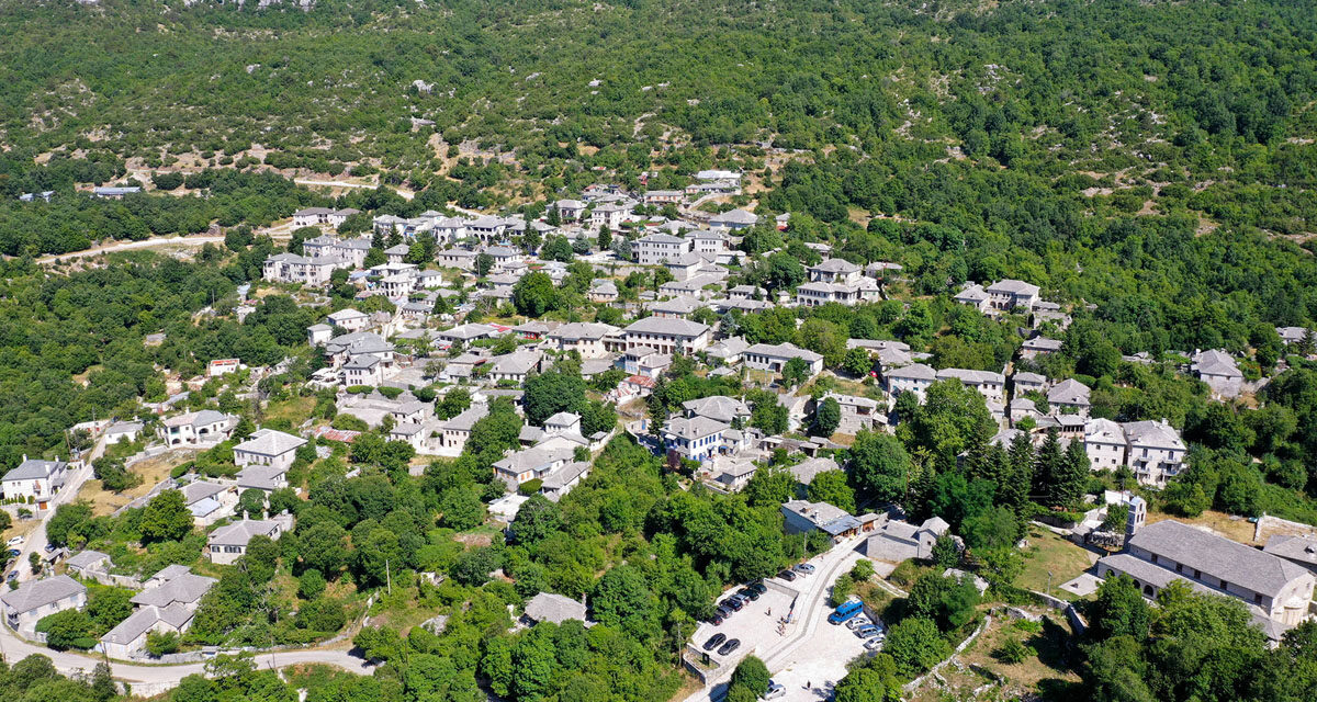 Ζαγοροχώρια: Πουρνάρι 650 ετών εντυπωσιάζει τους επισκέπτες – Δείτε γιατί