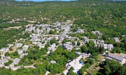 Ζαγοροχώρια: Πουρνάρι 650 ετών εντυπωσιάζει τους επισκέπτες – Δείτε γιατί