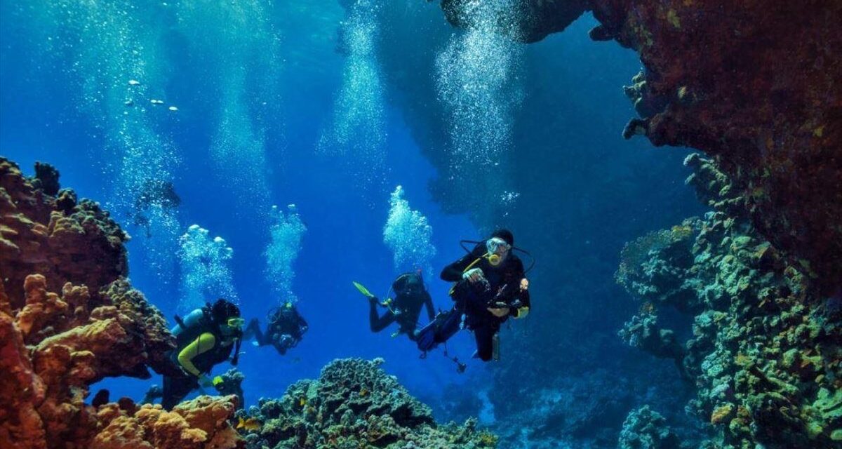 Αλόννησος: Το πρώτο υποβρύχιο μουσείο της Ελλάδας ανοίγει τις υδάτινες πύλες του