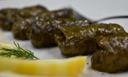 Γιαπράκια με κιμά που μας στέλνουν κατευθείαν… Κω