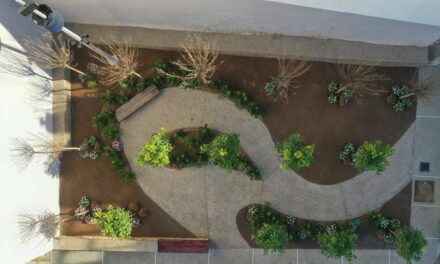 Τα «πάρκα τσέπης» επεκτείνονται στις γειτονιές της Αθήνας – Μια νέα «όαση» πρασίνου στο Μεταξουργείο