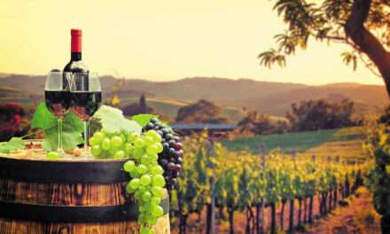 Υποψήφια η Ελλάδα, με οικοδέσποινα τη Θεσσαλονίκη, για το Παγκόσμιο Συνέδριο Οινοτουρισμού 2024