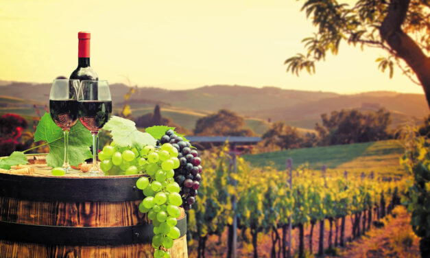 2η Ψηφιακή Τουριστική Συνάντηση Ελλάδας-Κύπρου: Ο οινοτουρισμός στο επίκεντρο