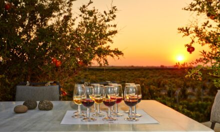 Οινοτουρισμός: 5 ελληνικά οινοποιεία για μία άκρως μεθυστική απόδραση