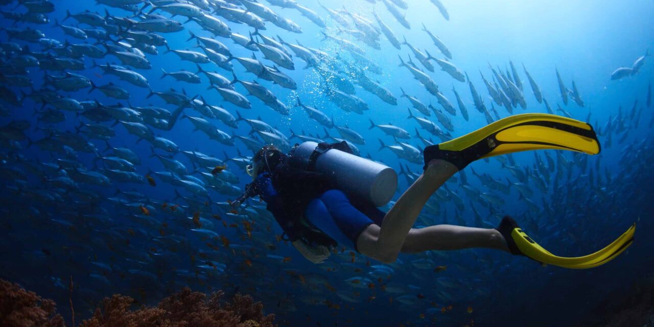 Συγκροτείται το Συμβούλιο Καταδυτικού Τουρισμού