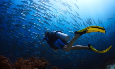 Συγκροτείται το Συμβούλιο Καταδυτικού Τουρισμού