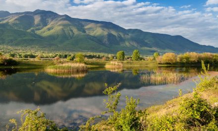 Φθινόπωρο στις όχθες της λίμνης Κερκίνης