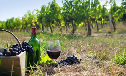 Φεστιβάλ Τρύγου Νάουσας: «Μωσαϊκό» δράσεων για το κρασί και τον τρύγο