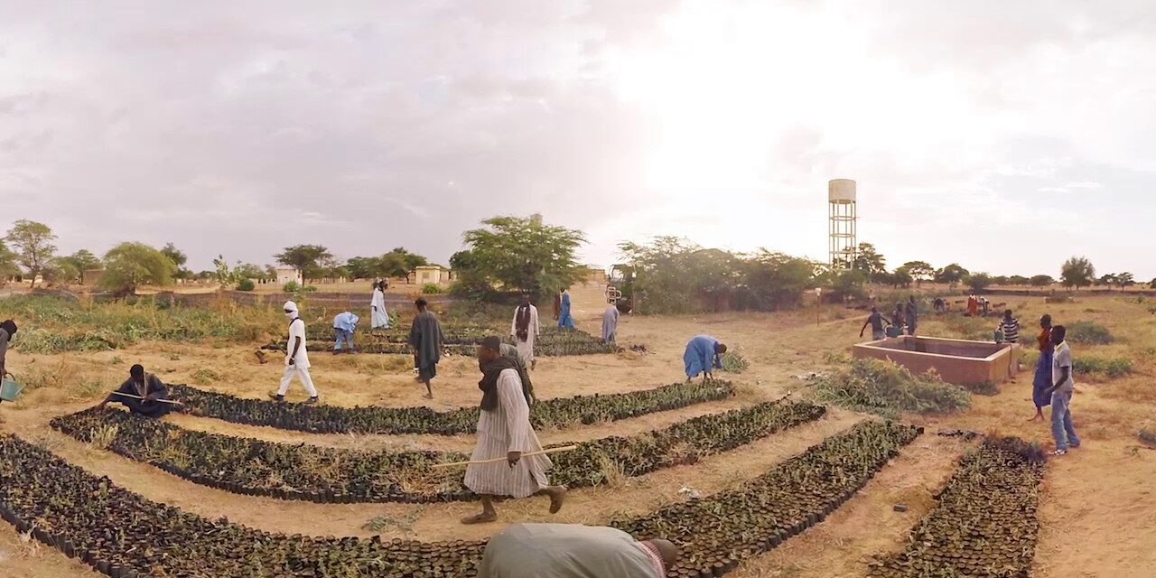 “Μεγάλο Πράσινο Τείχος”: Ένα φιλόδοξο περιβαλλοντικό πρόγραμμα