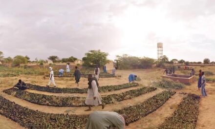 “Μεγάλο Πράσινο Τείχος”: Ένα φιλόδοξο περιβαλλοντικό πρόγραμμα