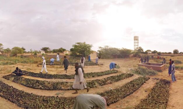 “Μεγάλο Πράσινο Τείχος”: Ένα φιλόδοξο περιβαλλοντικό πρόγραμμα