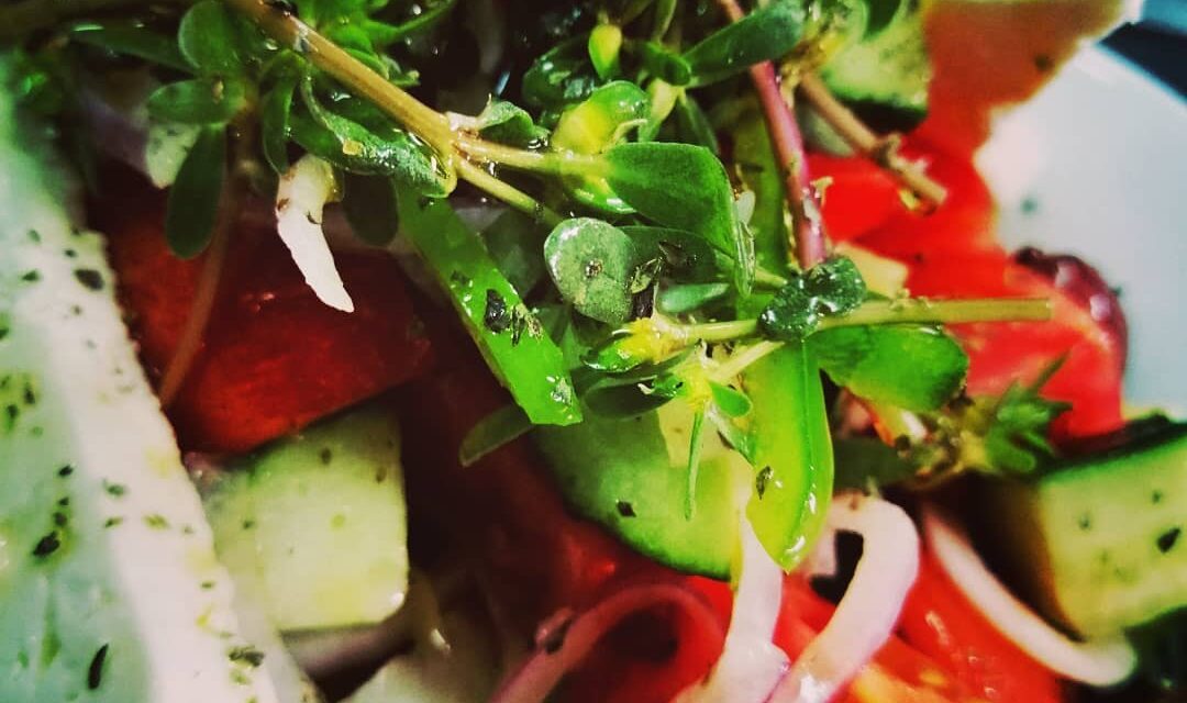 Εξόρμηση στην Καλαμάτα: 5 διευθύνσεις για να απολαύσετε αυθεντικές γεύσεις