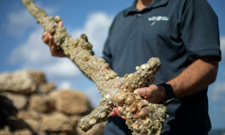 Μοναδική ανακάλυψη στο Ισραήλ: Βρέθηκε σπαθί 900 ετών από τις Σταυροφορίες (video)