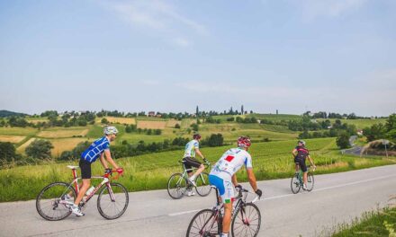 Εθνικό Συντονιστικό Κέντρο του EuroVelo στην Ελλάδα: Ανάδειξη του ποδηλατικού τουρισμού
