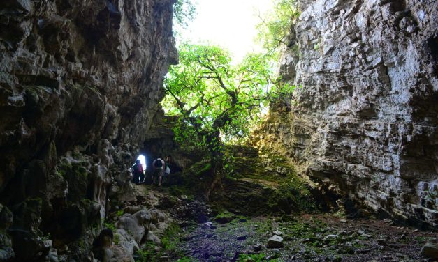 Σπήλαιο Ρίζες: Φθινοπωρινή απόδραση στην Ιθάκη