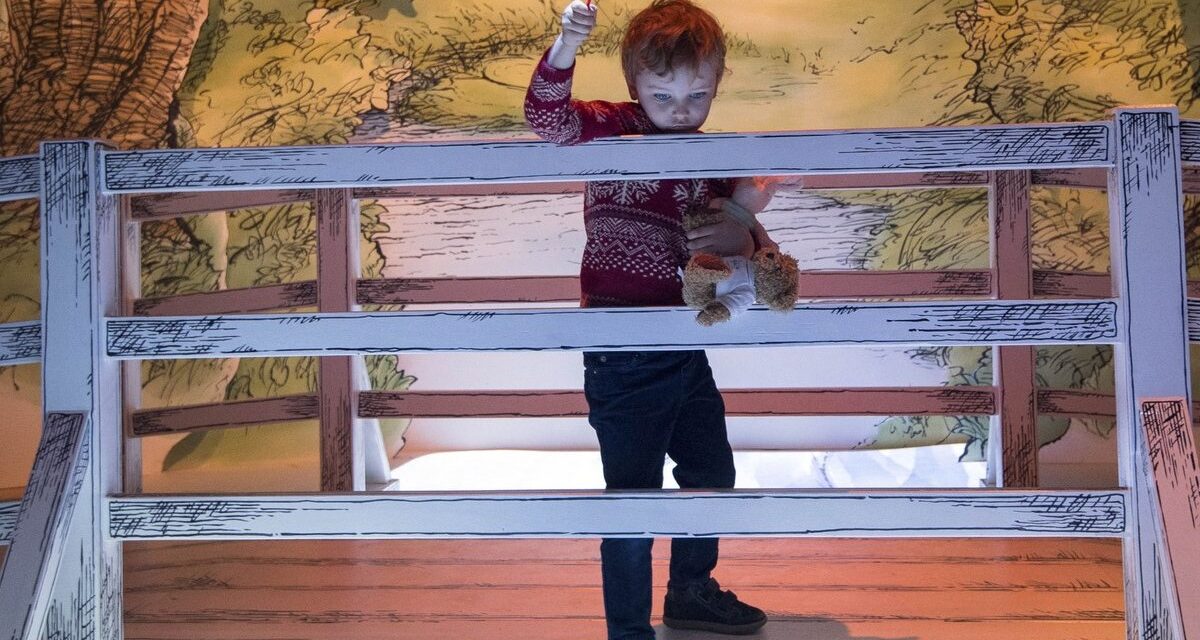 Η ξύλινη γέφυρα του Winnie πωλήθηκε… για πολλές χιλιάδες λίρες – Που θα βρίσκεται