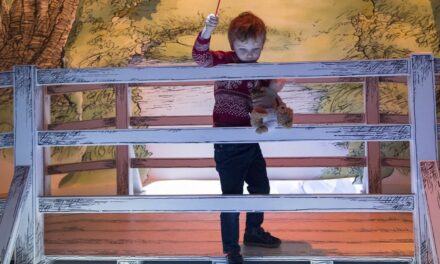 Η ξύλινη γέφυρα του Winnie πωλήθηκε… για πολλές χιλιάδες λίρες – Που θα βρίσκεται