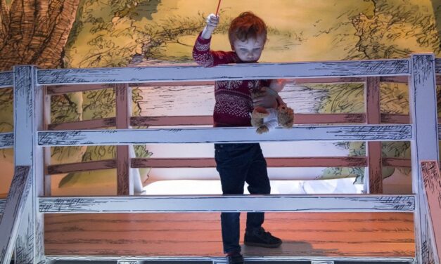 Η ξύλινη γέφυρα του Winnie πωλήθηκε… για πολλές χιλιάδες λίρες – Που θα βρίσκεται