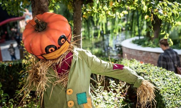 Halloween: Πως μία νύχτα “τρόμου” εξελίχθηκε σε αγαπημένη γιορτή